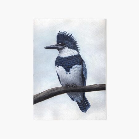 Kingfisher Art Board Print