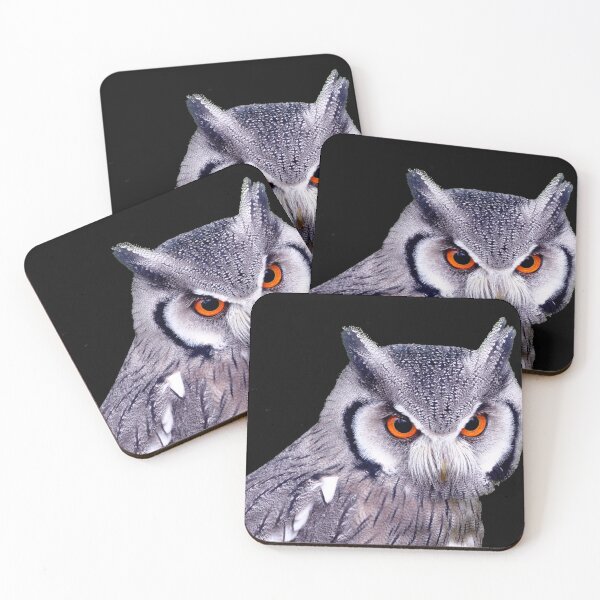 Item preview, Majestic White Faced Owl - Wisdom designed and sold by ittybittyowl.