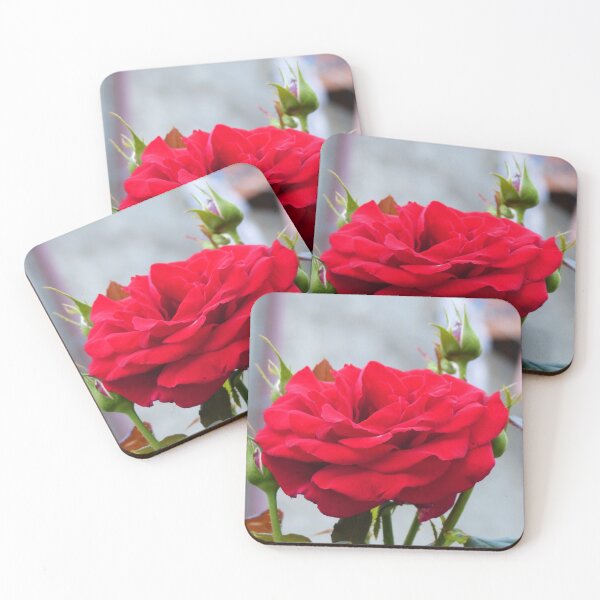 Item preview, Beautiful Red Rose  designed and sold by javajossi.