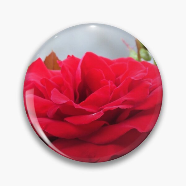 Item preview, Beautiful Red Rose  designed and sold by javajossi.