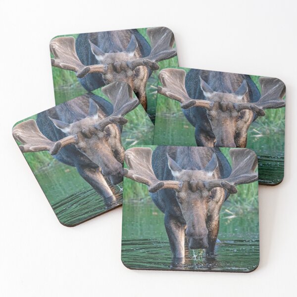Item preview, Beautiful Moose Portrait designed and sold by Vargulich.
