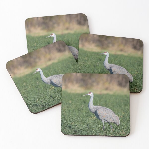 Item preview, Sandhill Crane 2020-2 designed and sold by Thomasyoung.