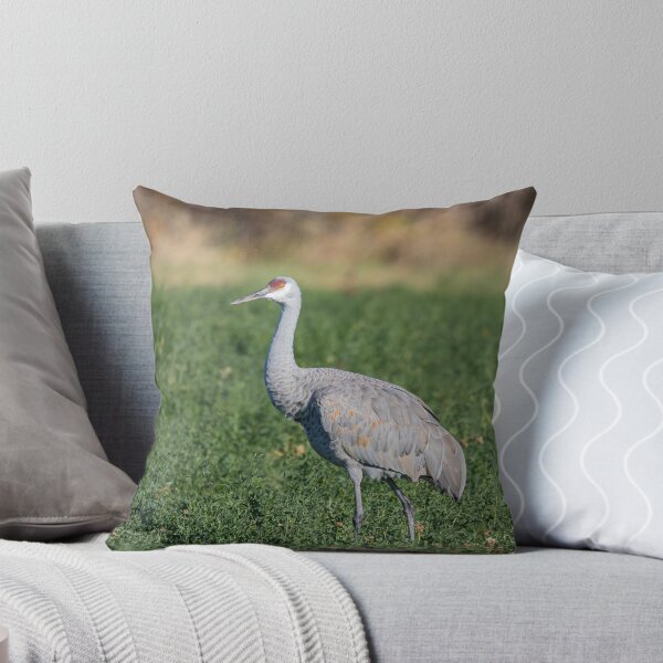Item preview, Sandhill Crane 2020-2 designed and sold by Thomasyoung.