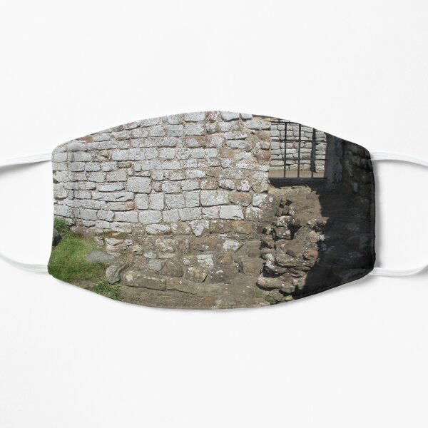 Merch #103 -- Rocks And Bricks - Shot 10 (Hadrian's Wall) Mask