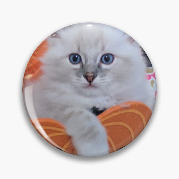 Item preview, Ragdoll kitten designed and sold by Fluffycat2020.