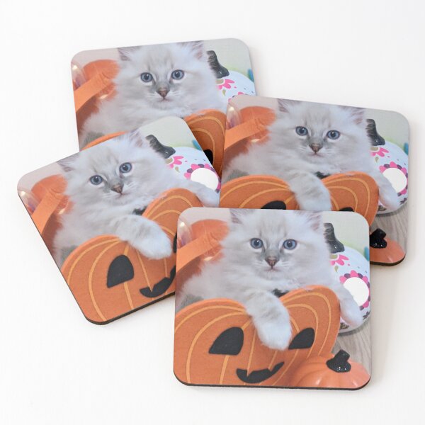 Item preview, Ragdoll kitten designed and sold by Fluffycat2020.