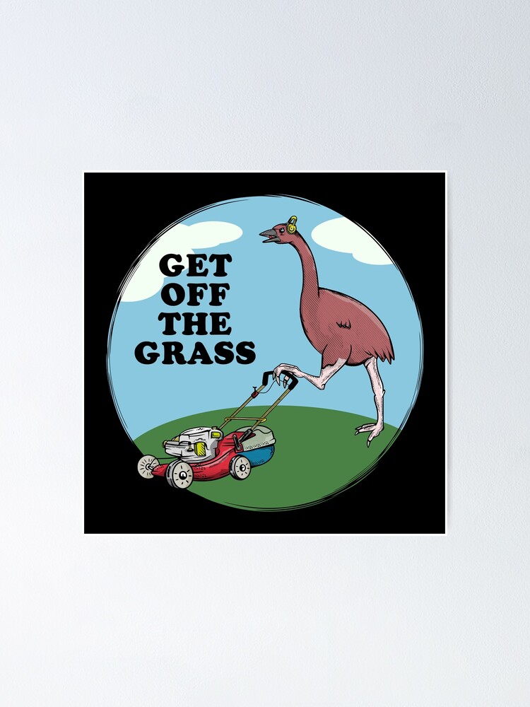 Moa New Zealand Bird Poster By Piedaydesigns Redbubble