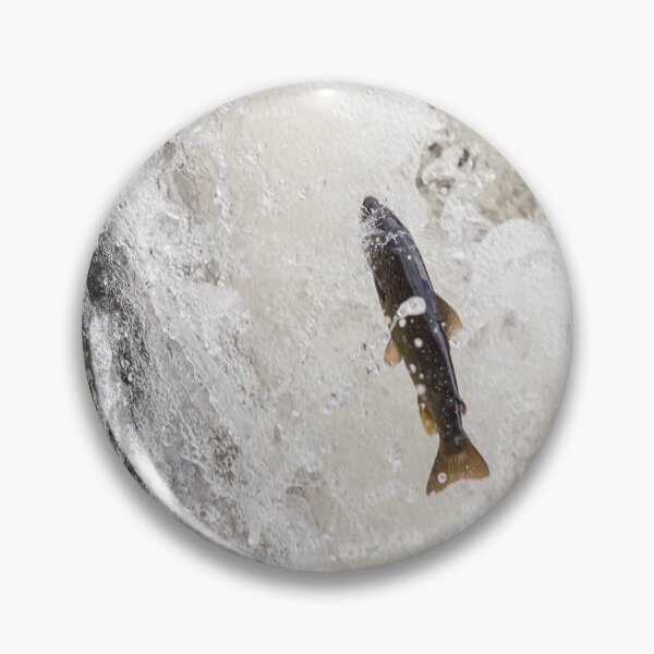 Item preview, Atlantic salmon parr  designed and sold by chanonry.