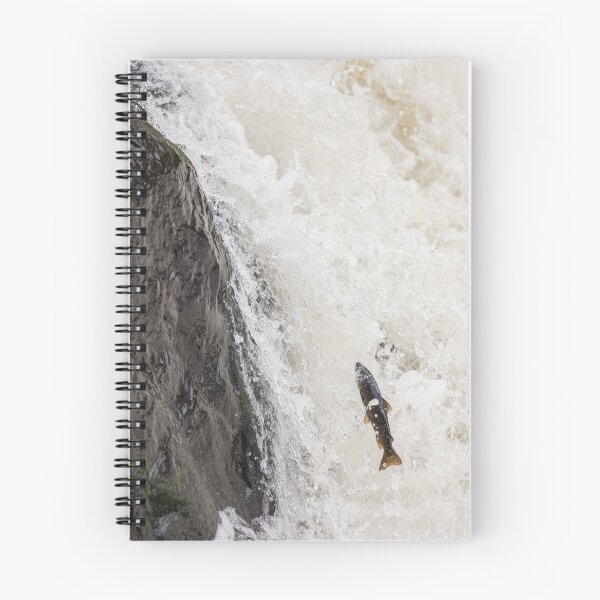 Item preview, Atlantic salmon parr  designed and sold by chanonry.