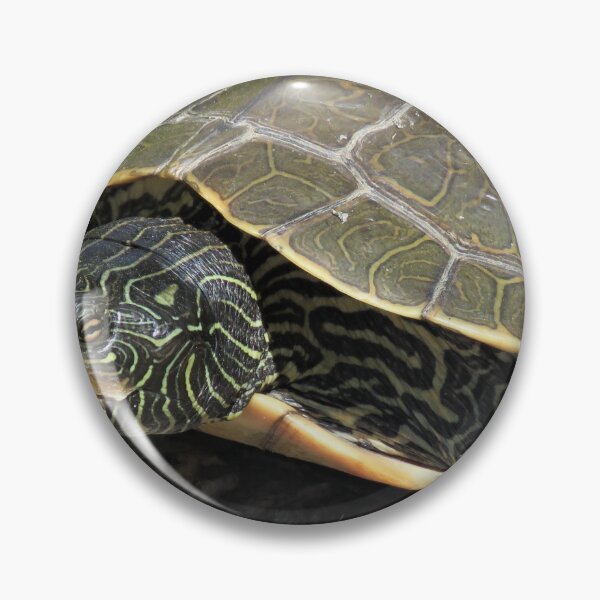 Item preview, Slow Turtle designed and sold by Phyllis Koppel.
