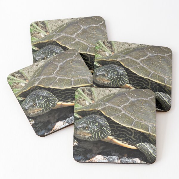 Item preview, Slow Turtle designed and sold by Phyllis Koppel.