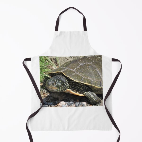 Item preview, Slow Turtle designed and sold by Phyllis Koppel.