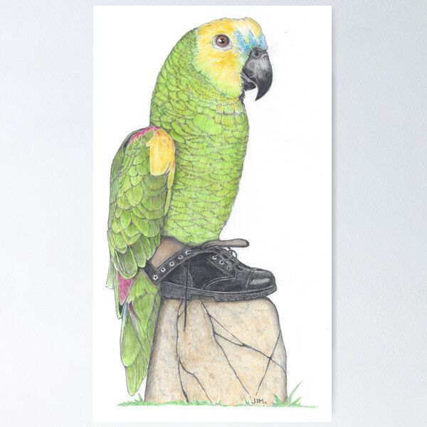 Item preview, Parrot in combat boots designed and sold by JimsBirds.