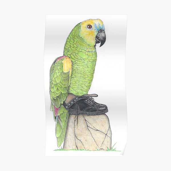 Parrot in combat boots Poster