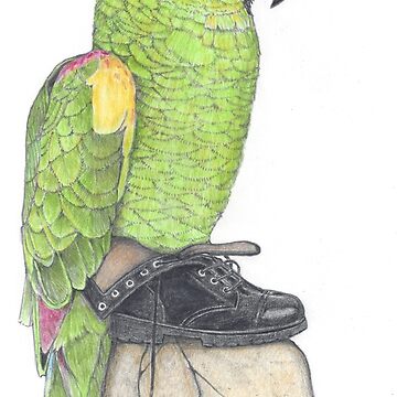 Artwork thumbnail, Parrot in combat boots by JimsBirds