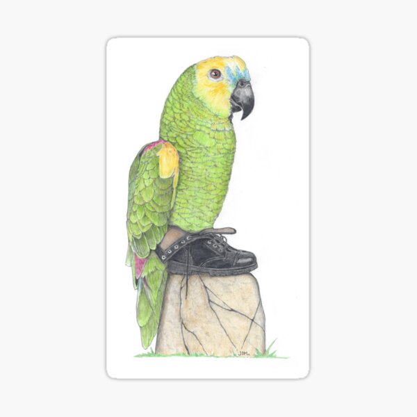Item preview, Parrot in combat boots designed and sold by JimsBirds.