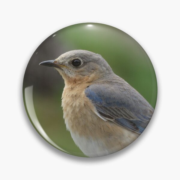 Item preview, I am a birdie designed and sold by Phyllis Koppel.