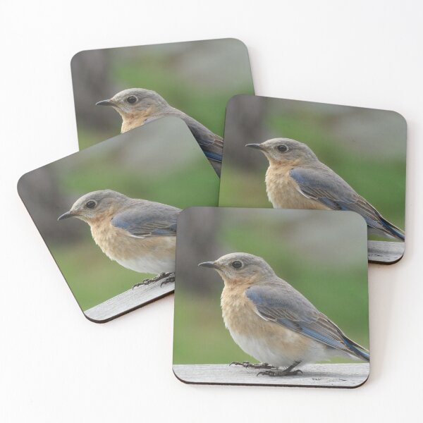 Item preview, I am a birdie designed and sold by Phyllis Koppel.