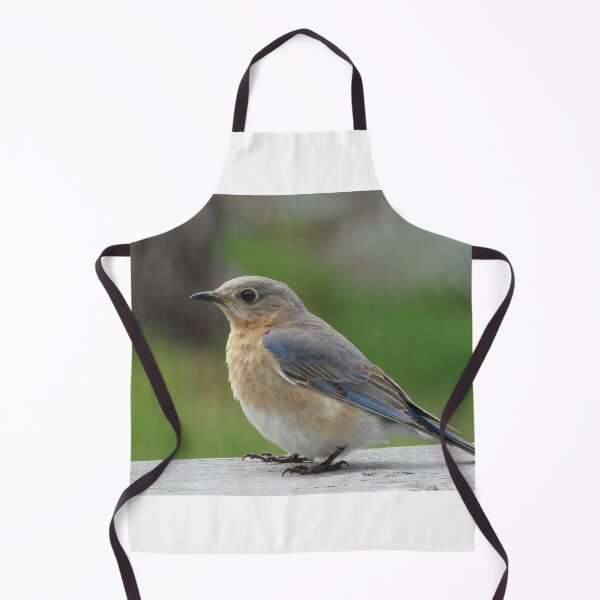 Item preview, I am a birdie designed and sold by Phyllis Koppel.