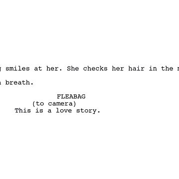 Imagen de la obra Esta es una historia de amor - Fleabag de erinaceous