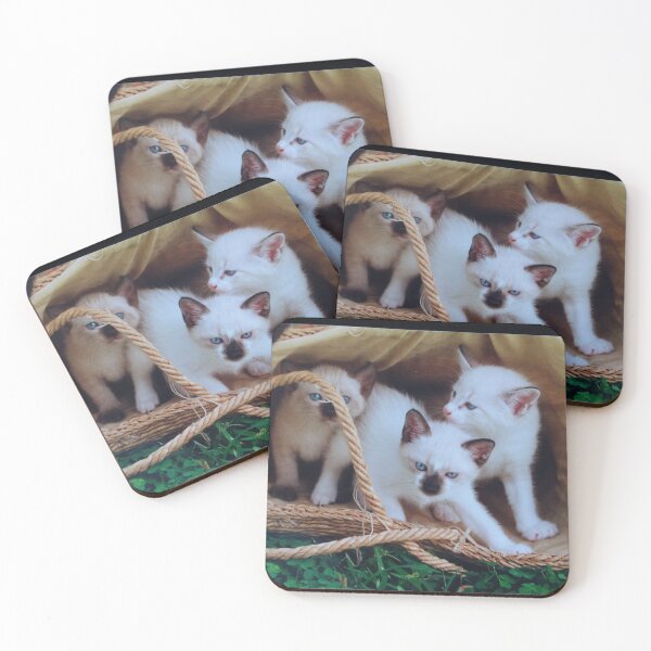 Item preview, About to explore the world designed and sold by Phyllis Koppel.