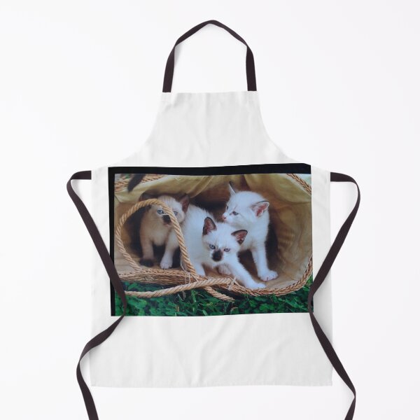 Item preview, About to explore the world designed and sold by Phyllis Koppel.