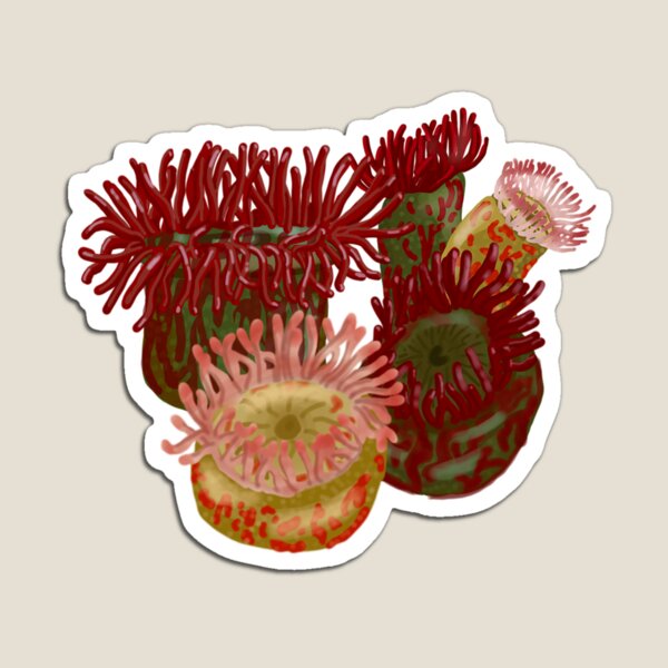 Item preview, Christmas Sea Anemone Group designed and sold by Squiddllr.
