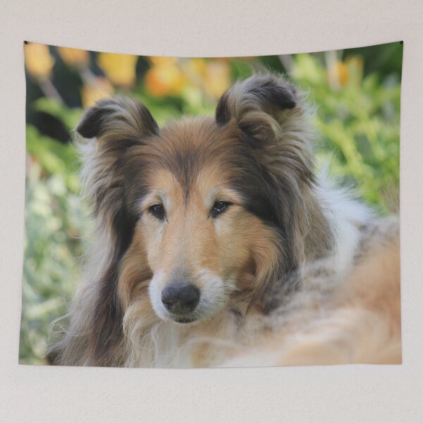 Item preview, Rough Collie Up Close In Garden designed and sold by KarenWoodArt.