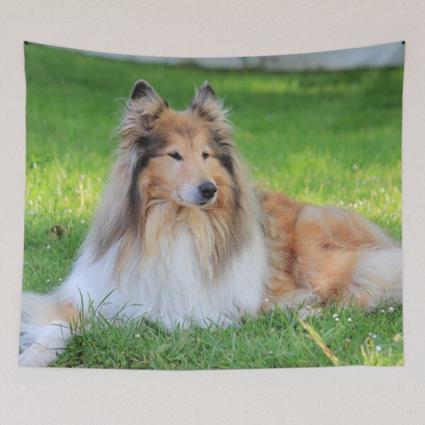 Item preview, Rough Collie On The Bright Green Grass designed and sold by KarenWoodArt.