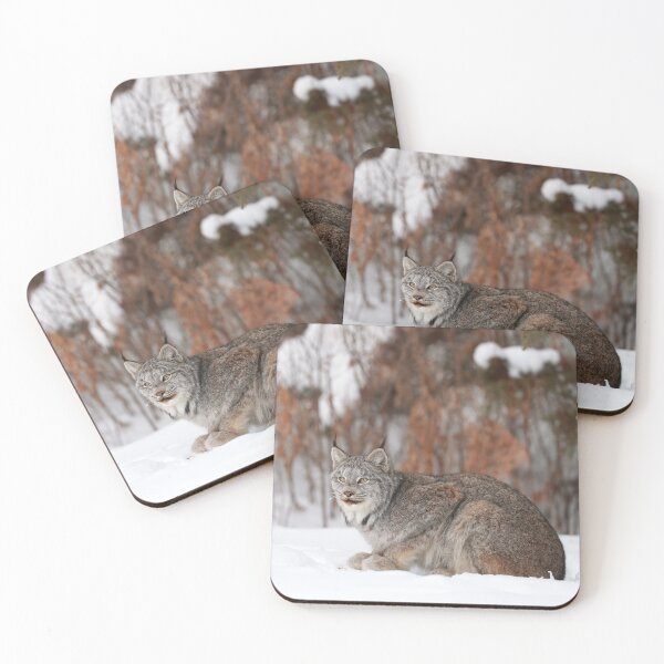 Item preview, Canada Lynx designed and sold by mlorenz.