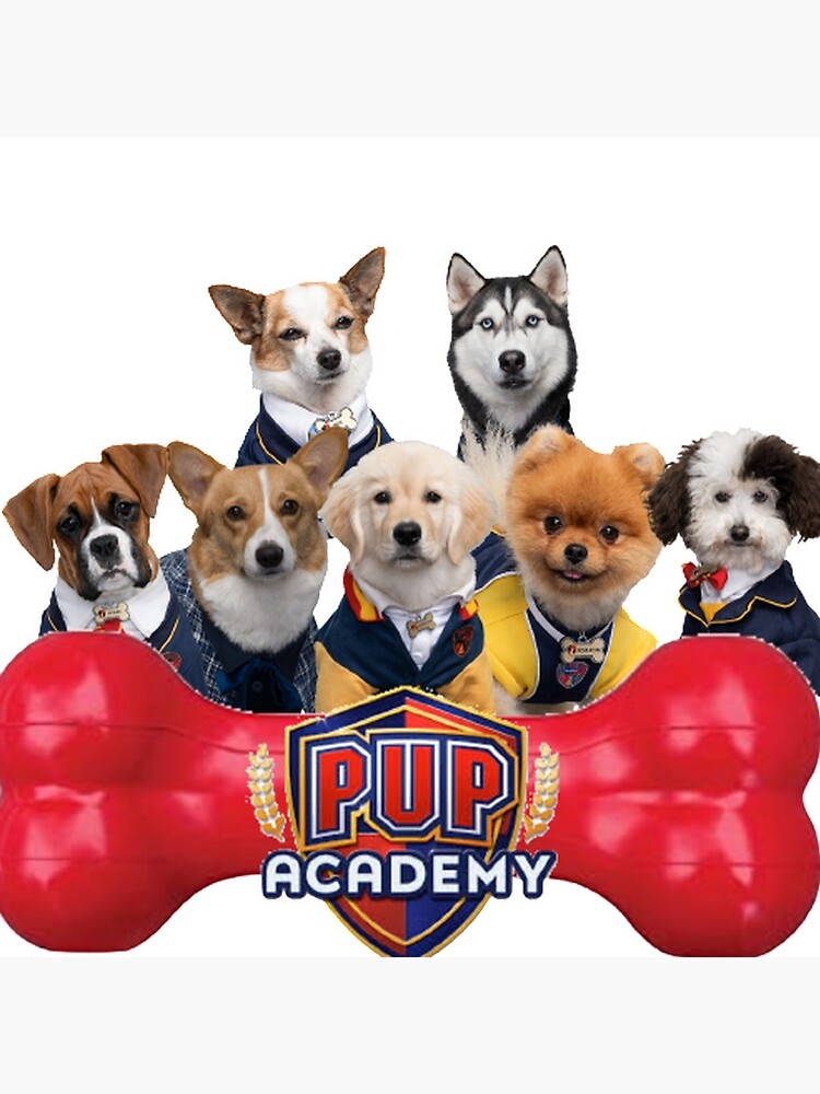 Pup Academy Show by Alastair42