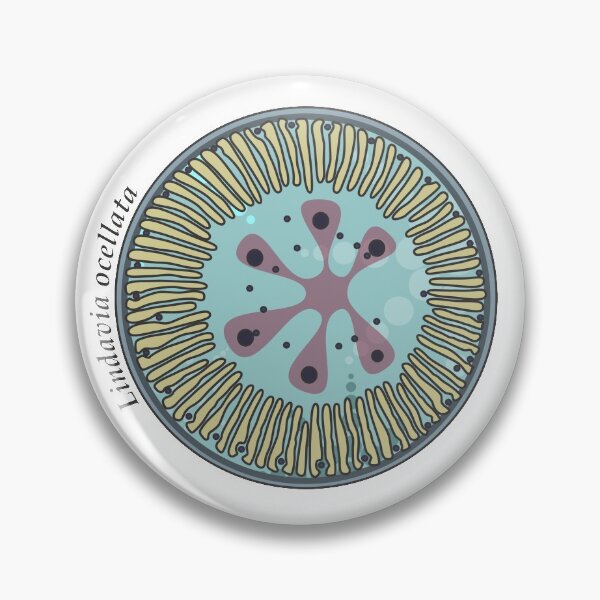 Item preview, Diatom - Lindavia ocellata (scientific) designed and sold by DiatomsATTACK.