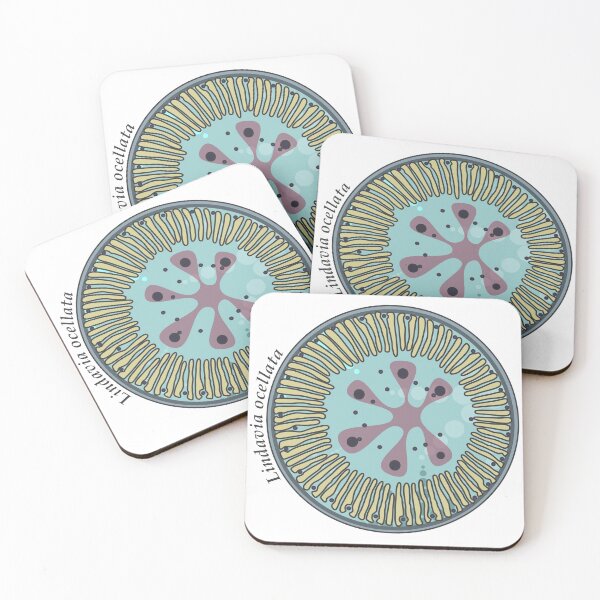 Item preview, Diatom - Lindavia ocellata (scientific) designed and sold by DiatomsATTACK.