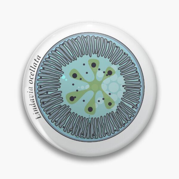 Item preview, Diatom - Lindavia ocellata (scientific / icy) designed and sold by DiatomsATTACK.