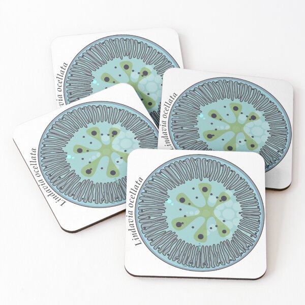 Item preview, Diatom - Lindavia ocellata (scientific / icy) designed and sold by DiatomsATTACK.
