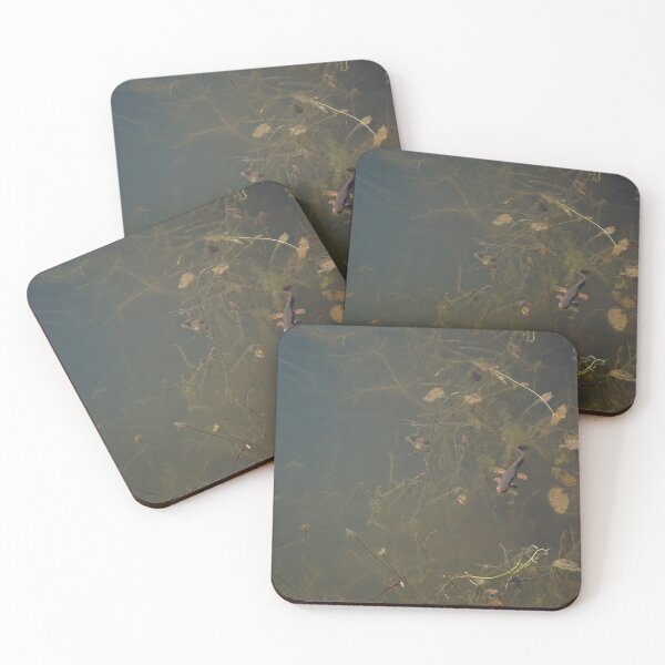 Item preview, Salamander on the Oregon Coast designed and sold by caitriderphoto.