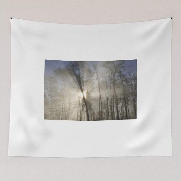Item preview, thru the trees designed and sold by dc witmer.