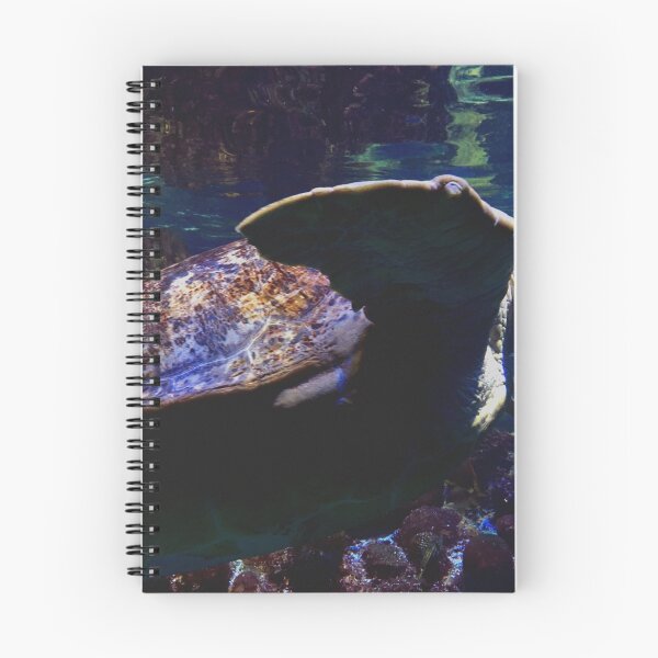Item preview, Tortuga designed and sold by Meagan Snee.