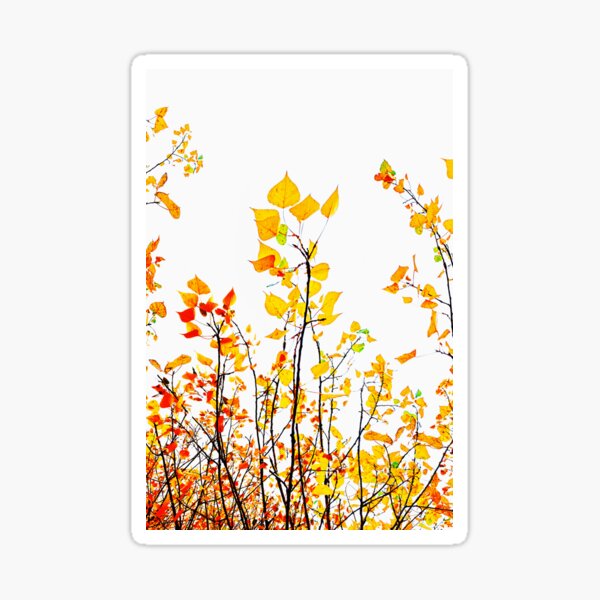 Feuilles aux couleurs d'automne Sticker