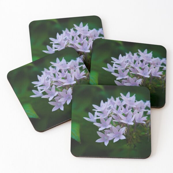 Item preview, Sweet Purple Flowers designed and sold by caitriderphoto.