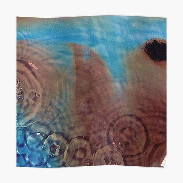 Pink Floyd Meddle Giclee Canvas Album Cover Art 