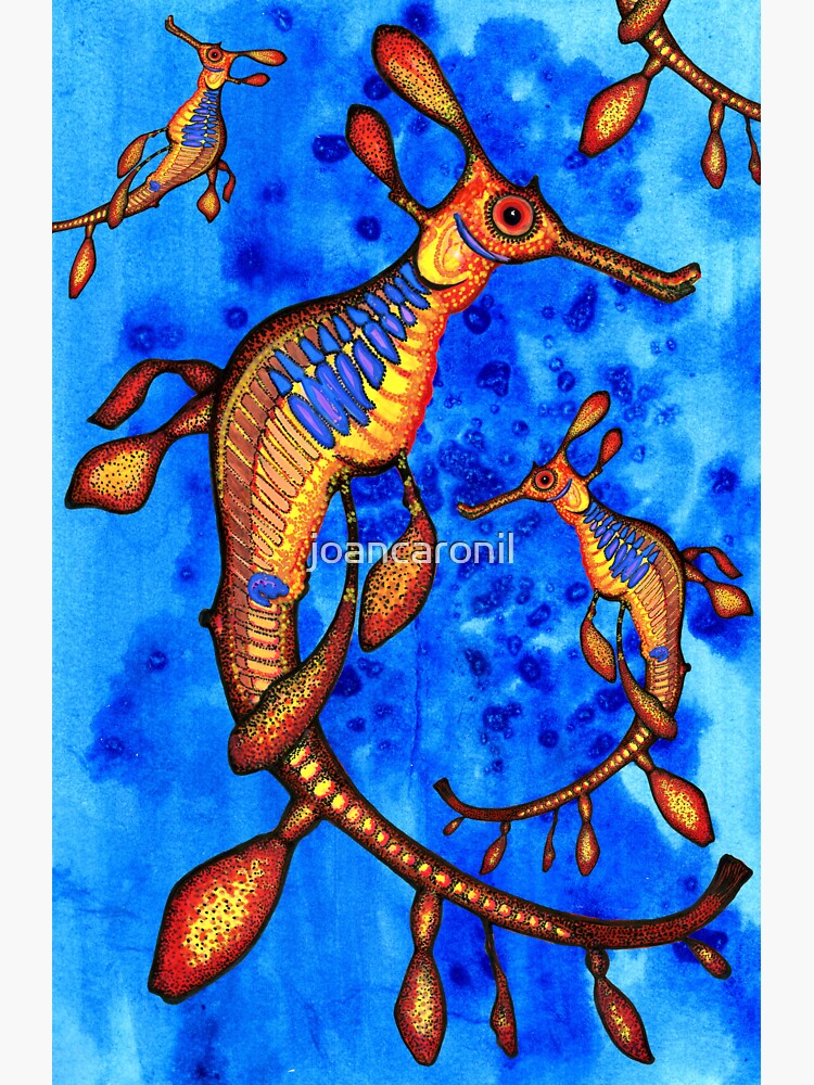 "WEEDY SEA DRAGON" Sticker for Sale by joancaronil Redbubble
