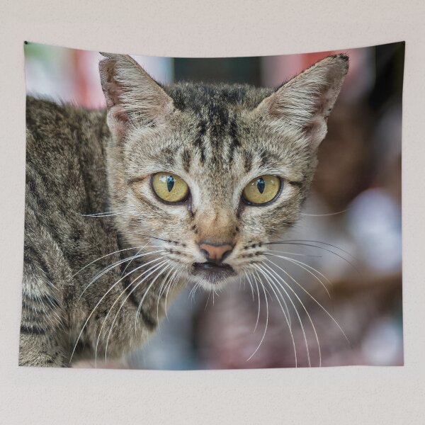 Item preview, Wide Eyed designed and sold by JohnKarmouche.