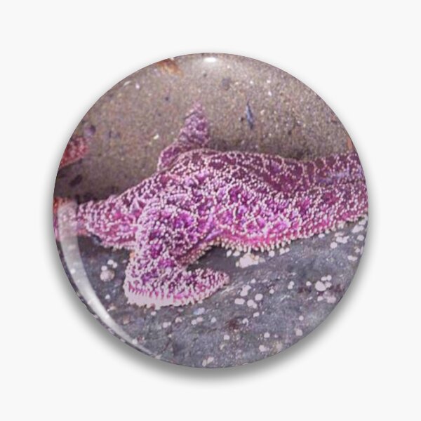 Item preview, Starfish in Hawaii designed and sold by TorieWear.