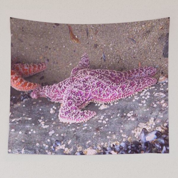 Item preview, Starfish in Hawaii designed and sold by TorieWear.