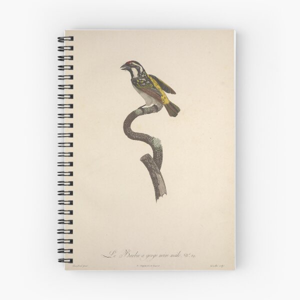 Item preview, Natural history of birds of paradise designed and sold by Bird-Lore.