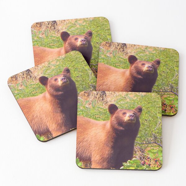 Item preview, Young Brown Bear  designed and sold by TorieWear.