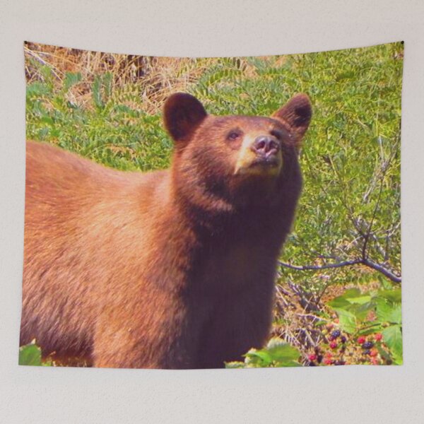 Item preview, Young Brown Bear  designed and sold by TorieWear.