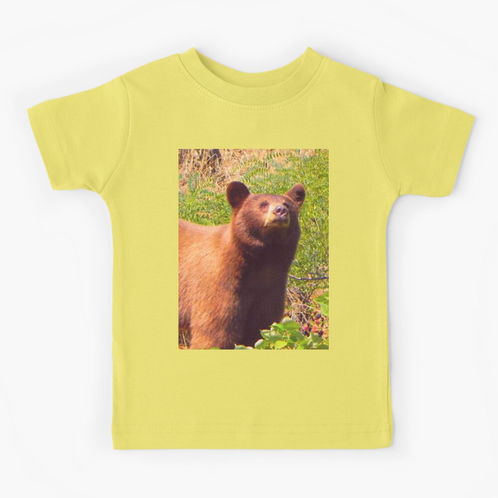 Vintage Bear Retro Graphic Grizzly Bears Gift Kids, Youth T Shirts,  Hoodies, Sweatshirts & Merch