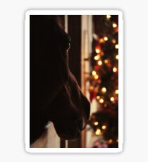 Christmas Lights Sticker